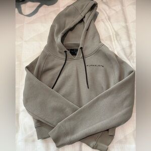 Alphalete Union Crop Hoodie